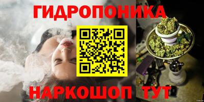 крисы Мариинск
