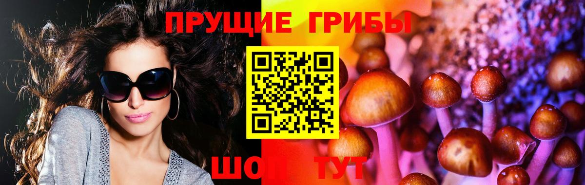 Барабинск  Псилоцибиновые грибы прущие грибы  Галлюциногенные грибы мицелий  Вход с VPN 